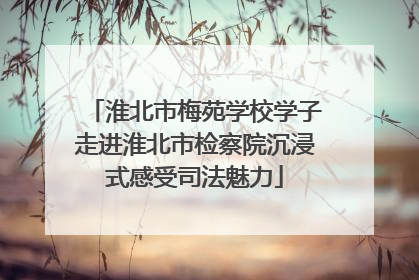 淮北市梅苑学校学子走进淮北市检察院沉浸式感受司法魅力