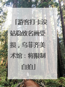 游客打卡没站稳致名画受损，乌菲齐美术馆：将限制自拍