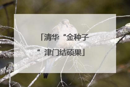 清华“金种子”津门结硕果