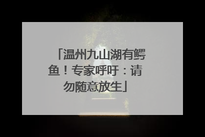 温州九山湖有鳄鱼！专家呼吁：请勿随意放生