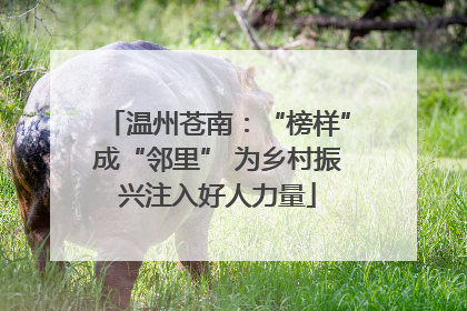温州苍南：“榜样”成“邻里” 为乡村振兴注入好人力量