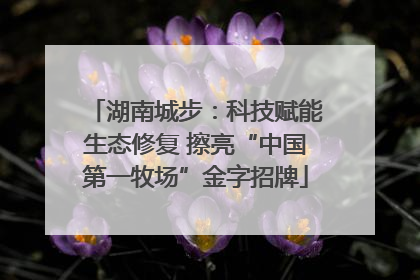 湖南城步：科技赋能生态修复 擦亮“中国第一牧场”金字招牌