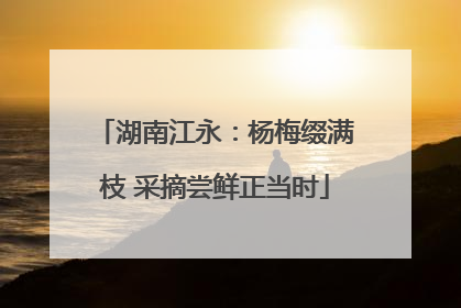 湖南江永：杨梅缀满枝 采摘尝鲜正当时