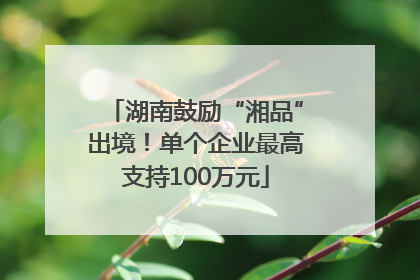 湖南鼓励“湘品”出境！单个企业最高支持100万元