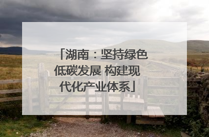 湖南：坚持绿色低碳发展 构建现代化产业体系