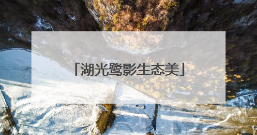 湖光鹭影生态美