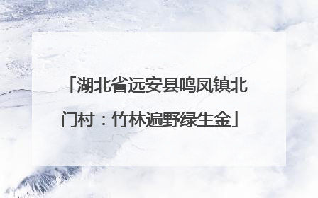 湖北省远安县鸣凤镇北门村：竹林遍野绿生金