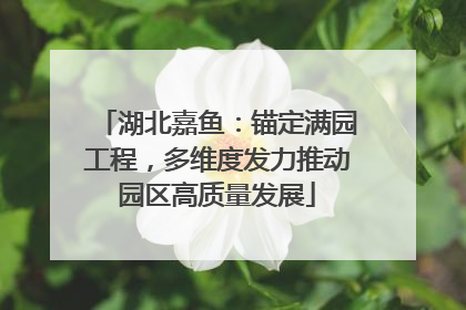 湖北嘉鱼：锚定满园工程，多维度发力推动园区高质量发展