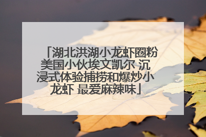 湖北洪湖小龙虾圈粉美国小伙埃文凯尔 沉浸式体验捕捞和爆炒小龙虾 最爱麻辣味