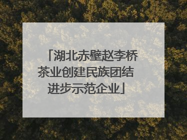 湖北赤壁赵李桥茶业创建民族团结进步示范企业