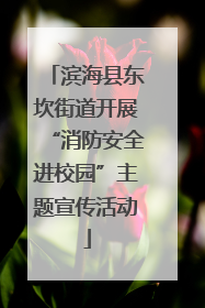 滨海县东坎街道开展“消防安全进校园”主题宣传活动