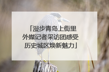 漫步青岛上街里 外媒记者采访团感受历史城区焕新魅力