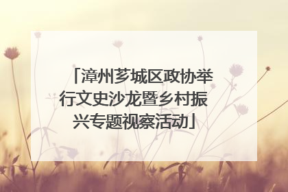 漳州芗城区政协举行文史沙龙暨乡村振兴专题视察活动