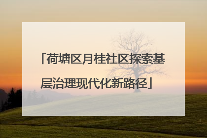 荷塘区月桂社区探索基层治理现代化新路径