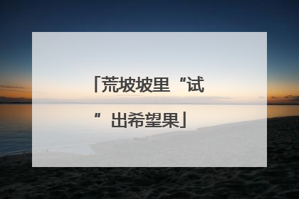 荒坡坡里“试”出希望果