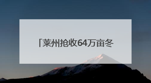 莱州抢收64万亩冬小麦 投入小麦联合收割机1500台
