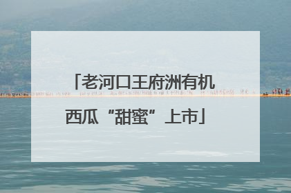 老河口王府洲有机西瓜“甜蜜”上市