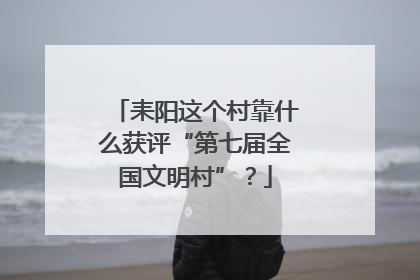 耒阳这个村靠什么获评“第七届全国文明村”？