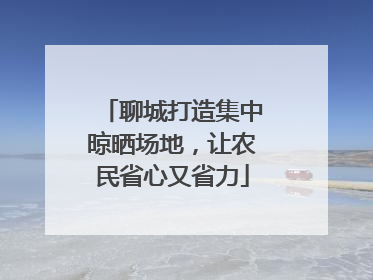 聊城打造集中晾晒场地，让农民省心又省力