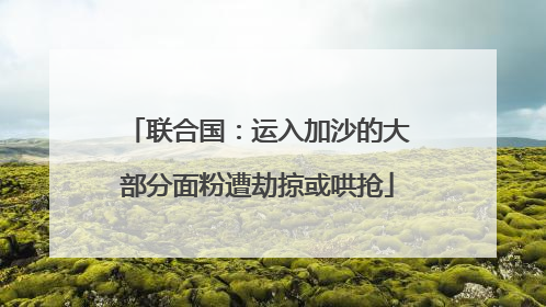 联合国：运入加沙的大部分面粉遭劫掠或哄抢