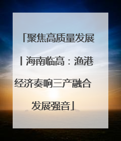 聚焦高质量发展丨海南临高：渔港经济奏响三产融合发展强音