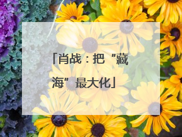 肖战：把“藏海”最大化