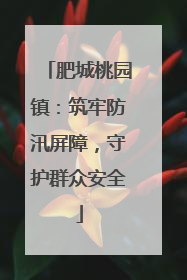 肥城桃园镇：筑牢防汛屏障，守护群众安全