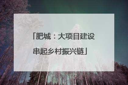 肥城：大项目建设串起乡村振兴链