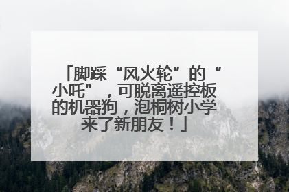 脚踩“风火轮”的“小吒”，可脱离遥控板的机器狗，泡桐树小学来了新朋友！