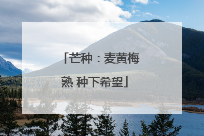 芒种：麦黄梅熟 种下希望