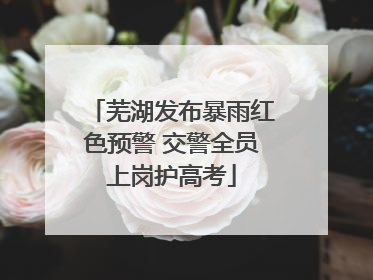 芜湖发布暴雨红色预警 交警全员上岗护高考