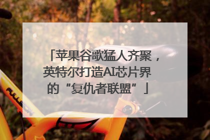 苹果谷歌猛人齐聚，英特尔打造AI芯片界的“复仇者联盟”