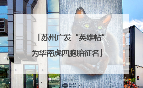 苏州广发“英雄帖”为华南虎四胞胎征名