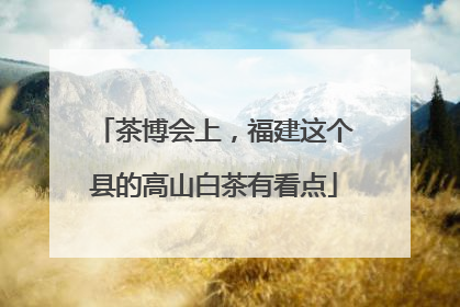 茶博会上，福建这个县的高山白茶有看点