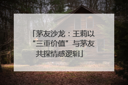 茅友沙龙：王莉以“三重价值”与茅友共探情感逻辑