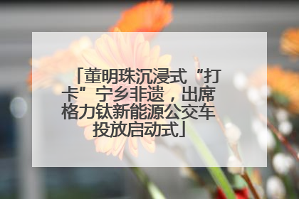 董明珠沉浸式“打卡”宁乡非遗，出席格力钛新能源公交车投放启动式