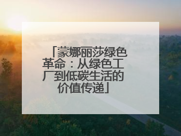 蒙娜丽莎绿色革命：从绿色工厂到低碳生活的价值传递