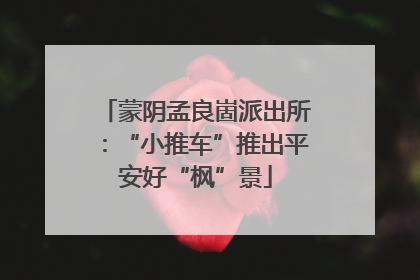 蒙阴孟良崮派出所：“小推车”推出平安好“枫”景