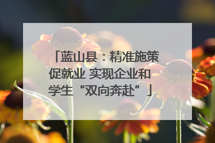 蓝山县：精准施策促就业 实现企业和学生“双向奔赴”