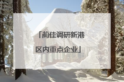 蔺佳调研新港区内重点企业