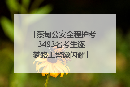 蔡甸公安全程护考 3493名考生逐梦路上警徽闪耀
