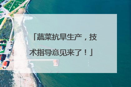 蔬菜抗旱生产，技术指导意见来了！