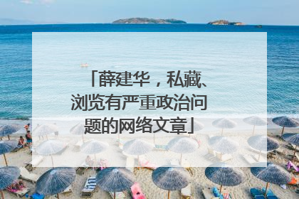 薛建华，私藏、浏览有严重政治问题的网络文章