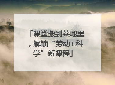 课堂搬到菜地里，解锁“劳动+科学”新课程