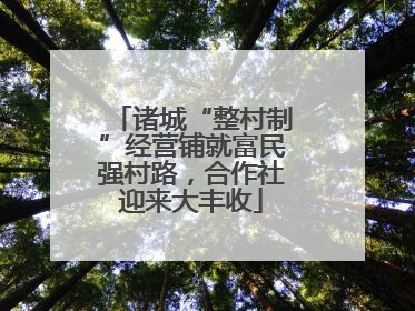 诸城“整村制”经营铺就富民强村路，合作社迎来大丰收
