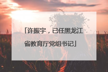 许振宇，已任黑龙江省教育厅党组书记