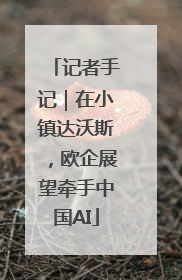 记者手记｜在小镇达沃斯，欧企展望牵手中国AI