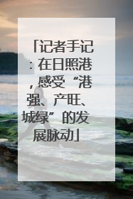 记者手记：在日照港，感受“港强、产旺、城绿”的发展脉动