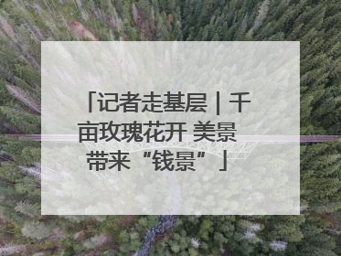 记者走基层｜千亩玫瑰花开 美景带来“钱景”