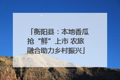 衡阳县：本地香瓜抢“鲜”上市 农旅融合助力乡村振兴